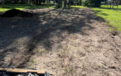 If I Could Go Back to the First Day We Put a Shovel in the Ground