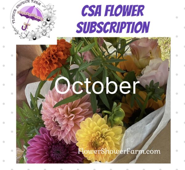 CSA - Subscription - October Shower
