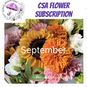 CSA - Subscription - September Shower