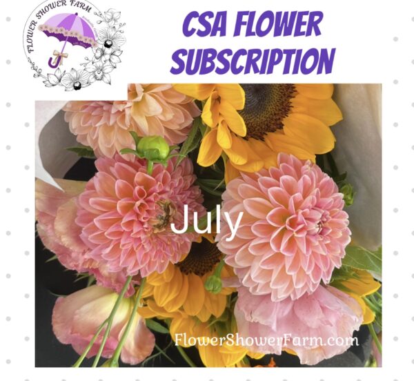 CSA - Subscription - July Shower