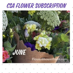 CSA - Subscription - June Shower