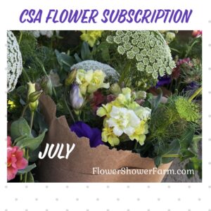 CSA - Subscription - July Shower
