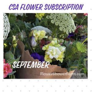 CSA - Subscription - September Shower