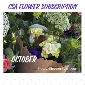 CSA - Subscription - October Shower