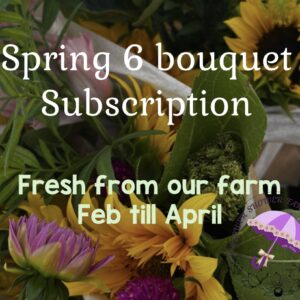 Spring 6 bouquet Subscription 2026