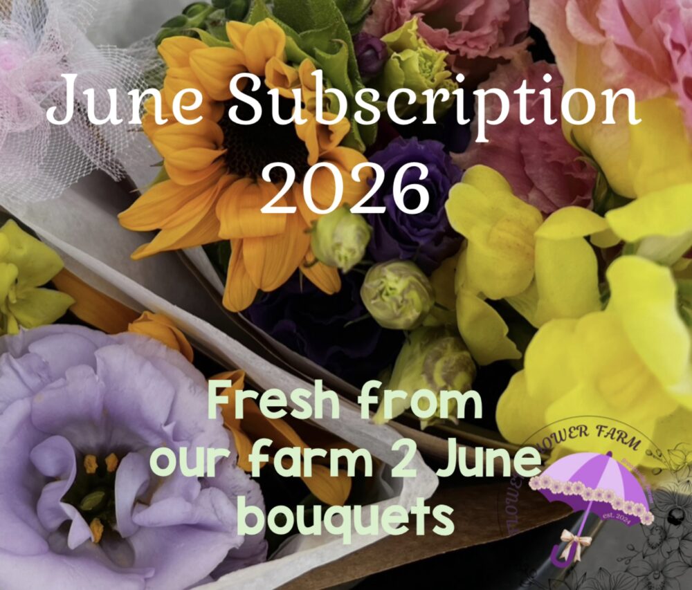 June 2026 - bouquet Subscription 2026