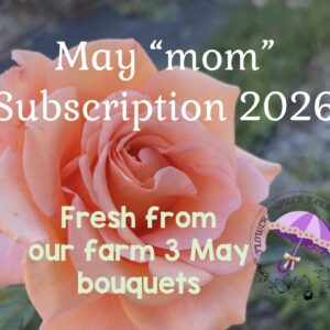 May Mom 2026 - bouquet Subscription 2026