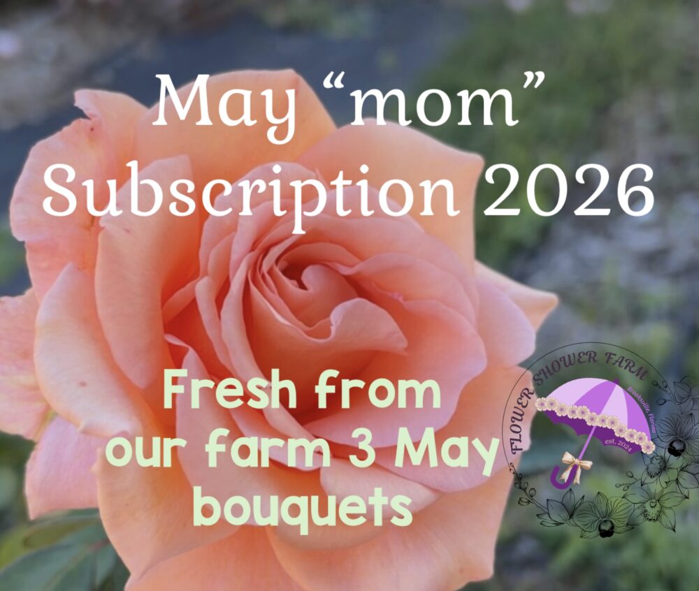 May Mom 2026 - bouquet Subscription 2026