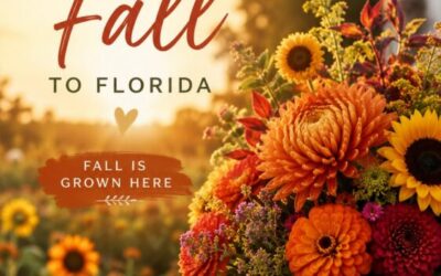 Bringing the Colors of Fall to Florida: Growing Autumn One Bouquet at a Time